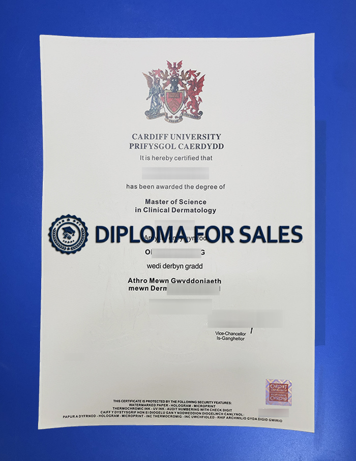 Cardiff University Degree