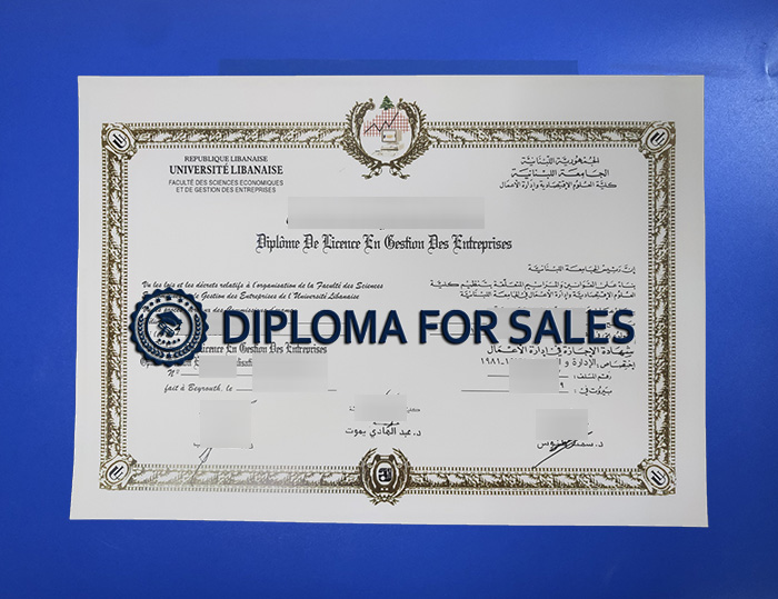 Université libanaise Diploma