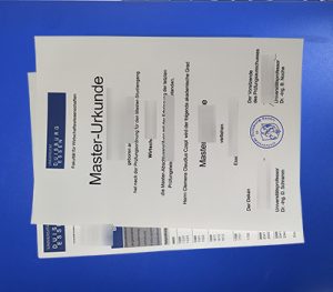 University of Duisburg-Essen Diploma