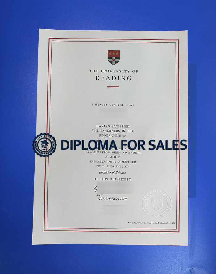 University of Reading Degree