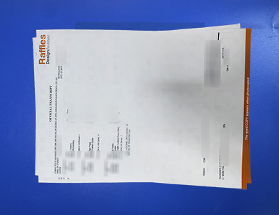 Raffles Design Institute Transcript