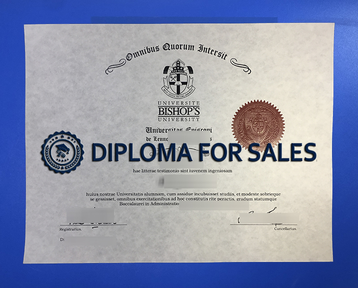 Fake Bishop's University Diploma