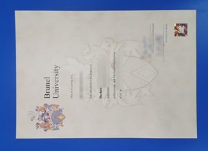 Brunel University degree