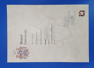 Brunel University degree