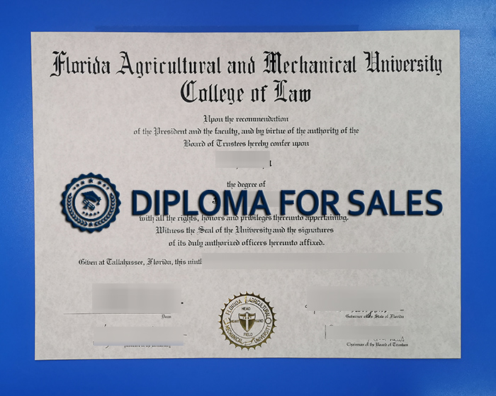 Fake FAMU Diploma
