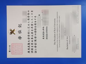 Keio University Degree