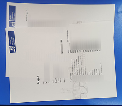 Leibniz University Hannover Transcript
