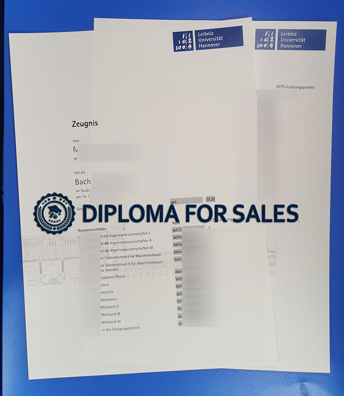 Leibniz University Hannover Transcript Leibniz University Hannover Transcript