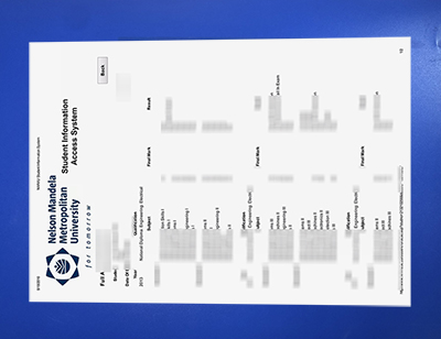 Fake Nelson Mandela University Transcript