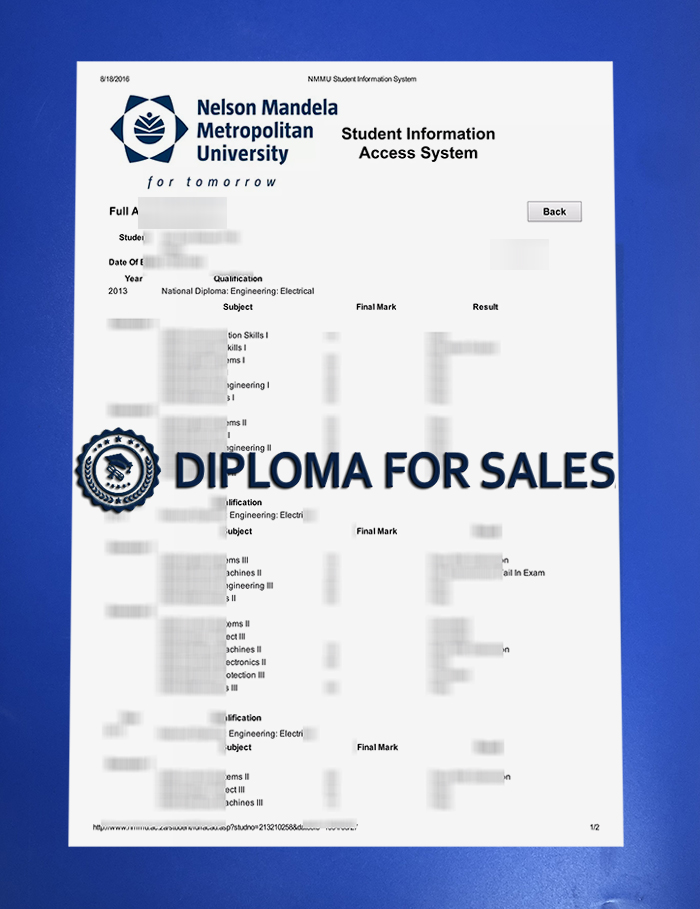 Nelson Mandela University Transcript