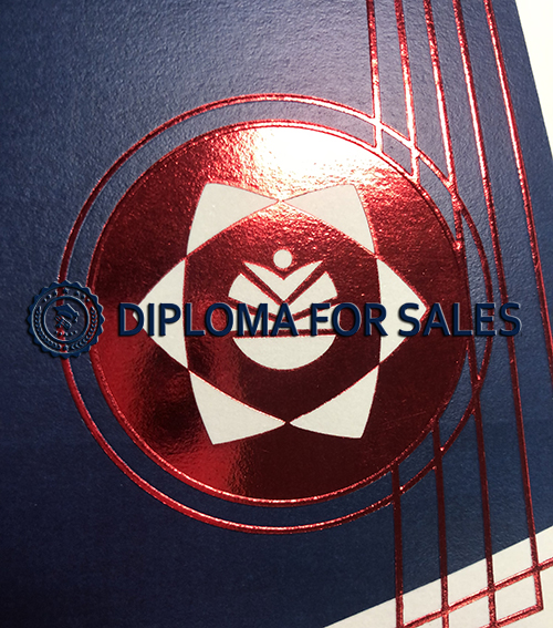 Nelson Mandela University seal