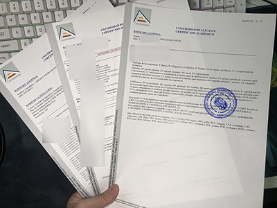 Fake Universidad de Alicante Transcript