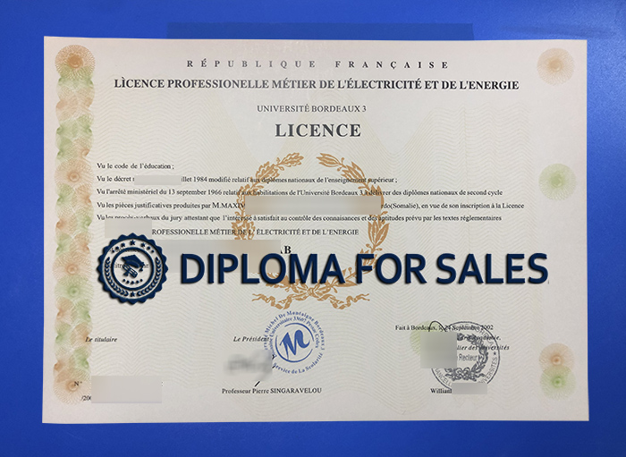 Université Bordeaux3 Diploma
