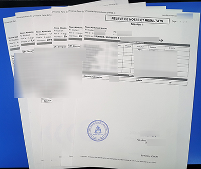 Fake Paris IV Transcript