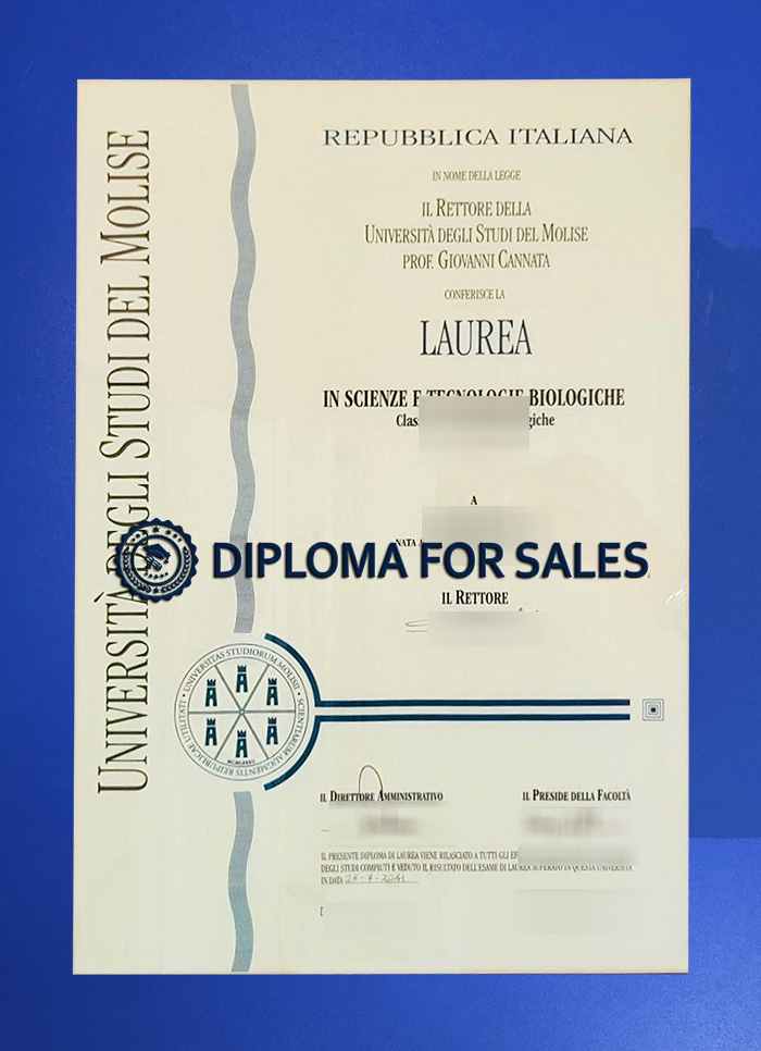 University of Molise Diploma