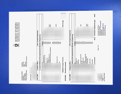 Fake University of Pretoria Transcript