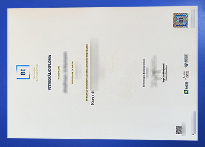 Fake BI Norwegian Business School Diploma