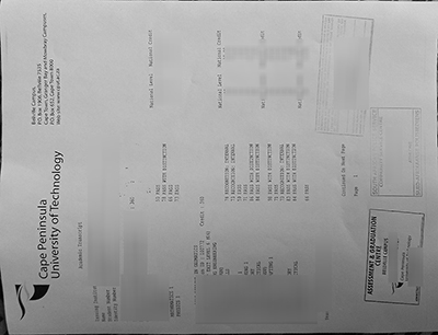 Fake CPUT Transcript