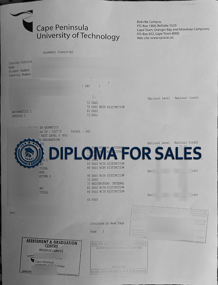 Fake CPUT Transcript