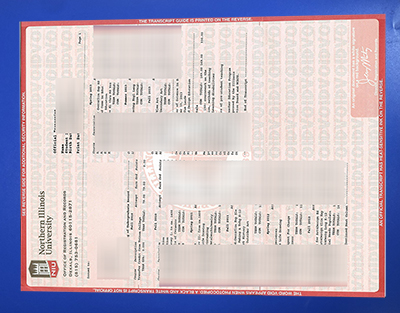 Fake NIU Transcript