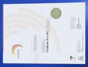 Fake TasTAFE Diploma