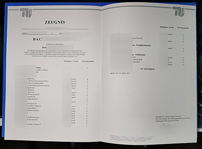 Fake TU Berlin Transcript