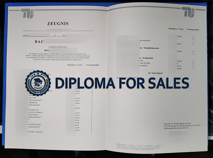 Fake TU Berlin Transcript