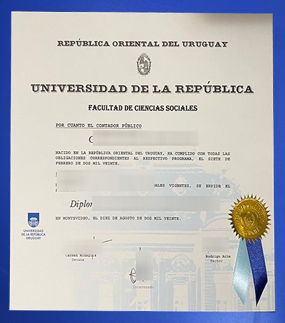 Fake Udelar Diploma