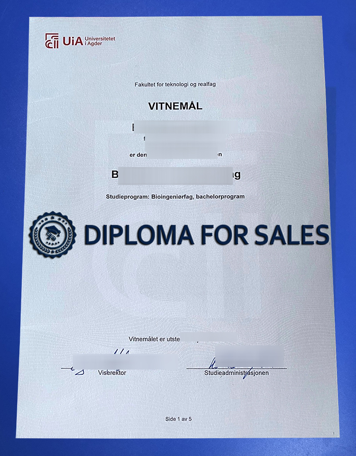 Fake University of Agder Diploma