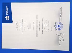 Hochschule Mittweida Urkunde