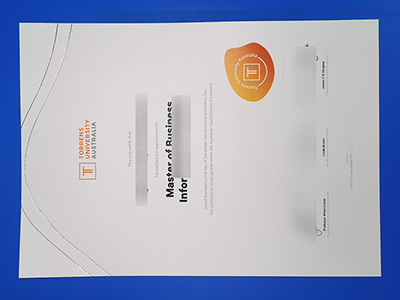 Fake Torrens University Degree