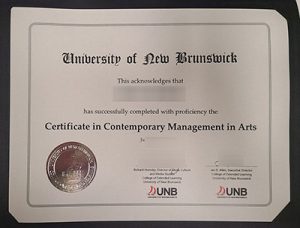 Fake UNB Diploma