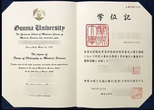 Fake Gunma University Diploma