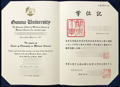 Fake Gunma University Diploma