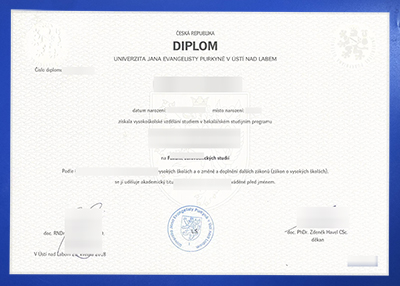 Fake UJEP Diploma