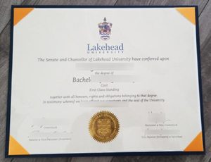fake Lakehead University Diploma