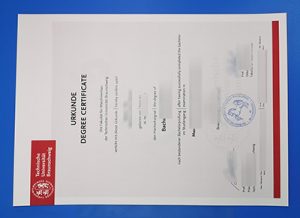 Fake TU Braunschweig Urkunde