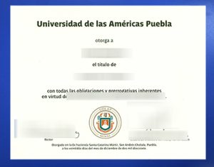 Fake UDLAP Diploma