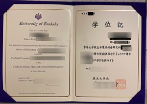 Fake University of Tsukuba Diploma