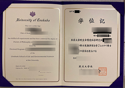 Fake University of Tsukuba Diploma