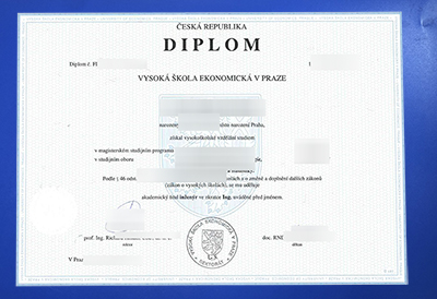 Fake VŠE Diploma