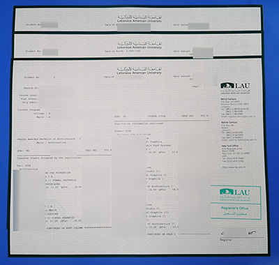lebanese international university Transcript