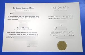 Fake AUB Diploma