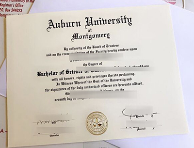Fake AUM Diploma