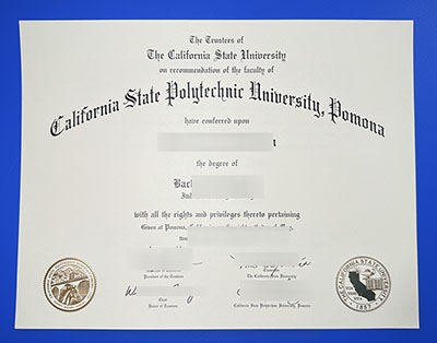 Fake Cal Poly Pomona Diploma