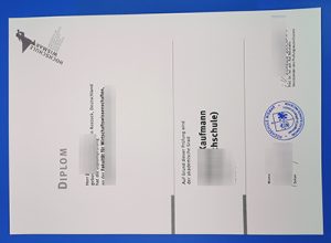 Hochschule Wismar diploma