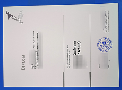 Hochschule Wismar diploma