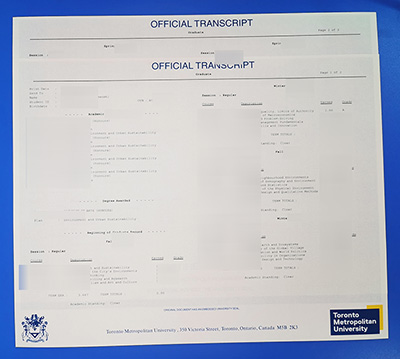 Fake TMU Transcript