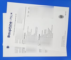 Fake Université Paris Dauphine - PSL Transcript