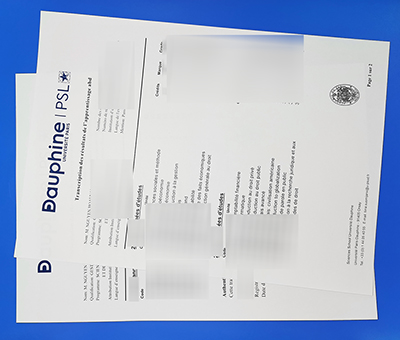 Fake Université Paris Dauphine - PSL Transcript